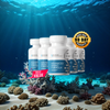 Advanced Amino Formula (6 Bottles)