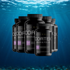 Eternum Cortex (6 bottles - 60 capsules each)