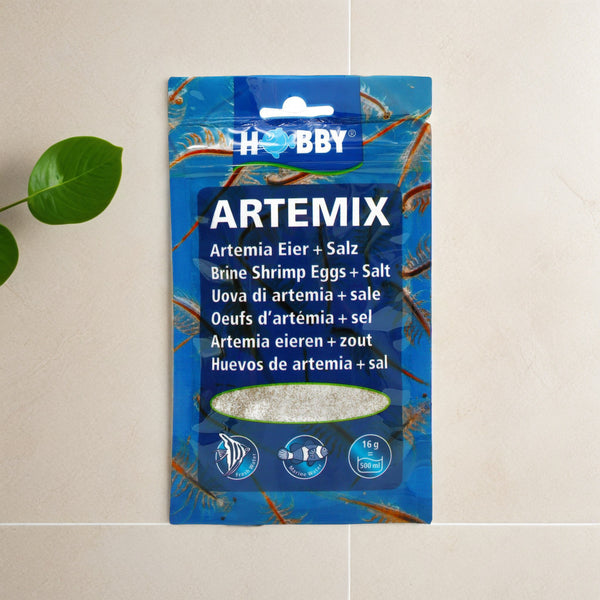Artemsia Active