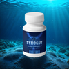 Synogut 1 bottle